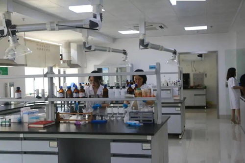 湖南科技宣傳周暨衡陽食品藥品檢驗(yàn)檢測實(shí)驗(yàn)室公眾開放日 網(wǎng)絡(luò)技術(shù)服務(wù)助推市民科普體驗(yàn)