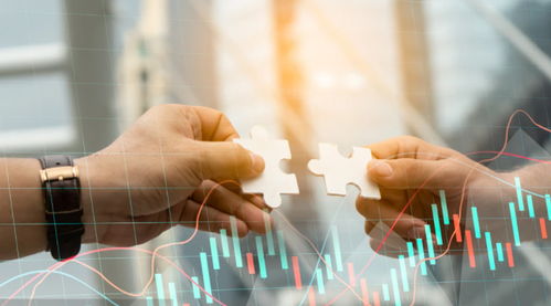 全網數字化營銷運營 網絡文化經營時代的企業核心引擎